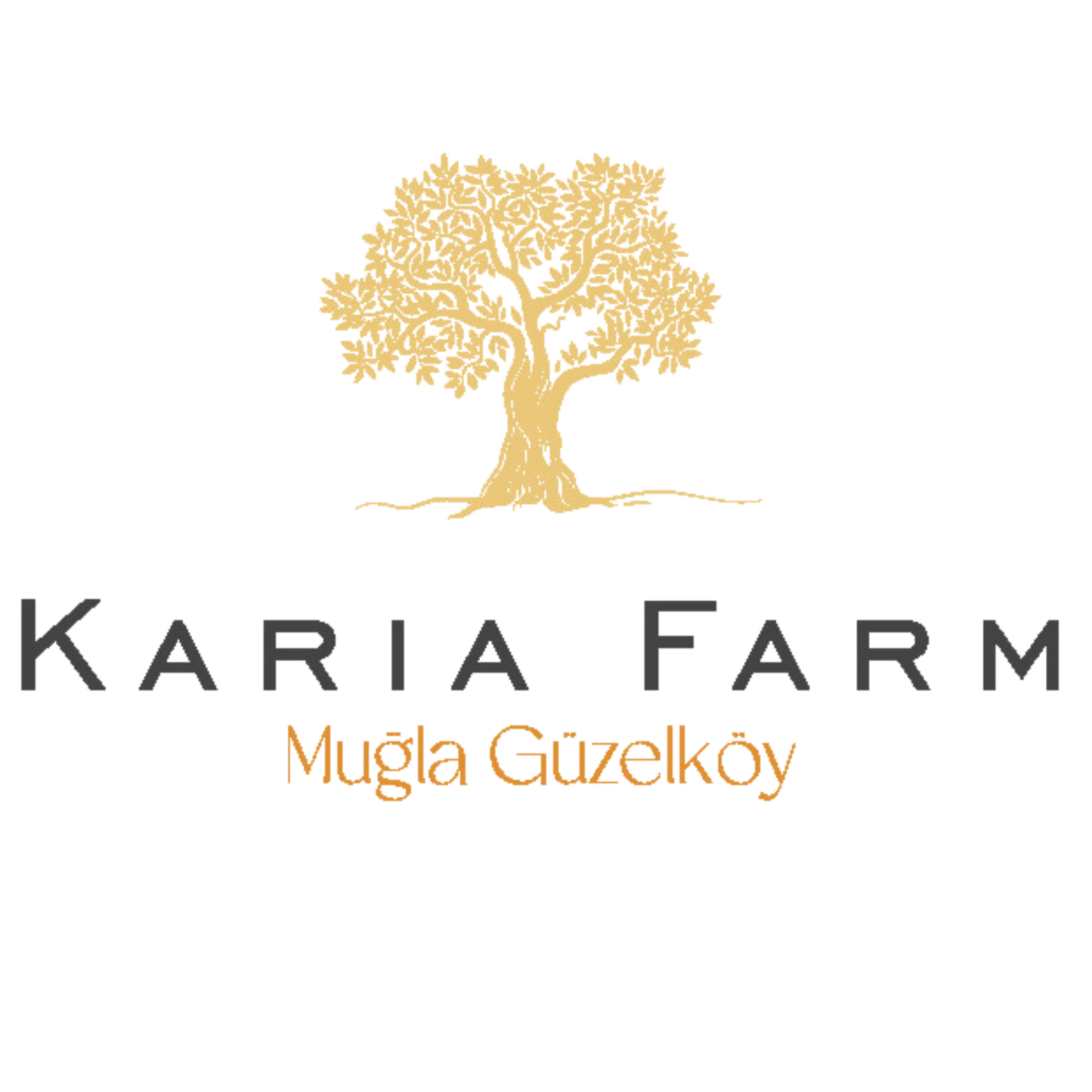 kariafarm