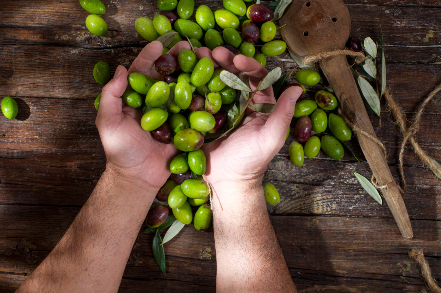 Zeytin Faydaları ile Vücudunuzu Destekleyin!