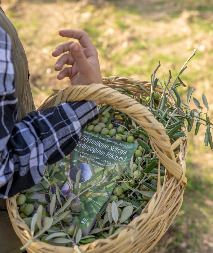 
                  
                    Yeşil Zeytin DOĞAL,KATKISIZ 900grm Net 600
                  
                