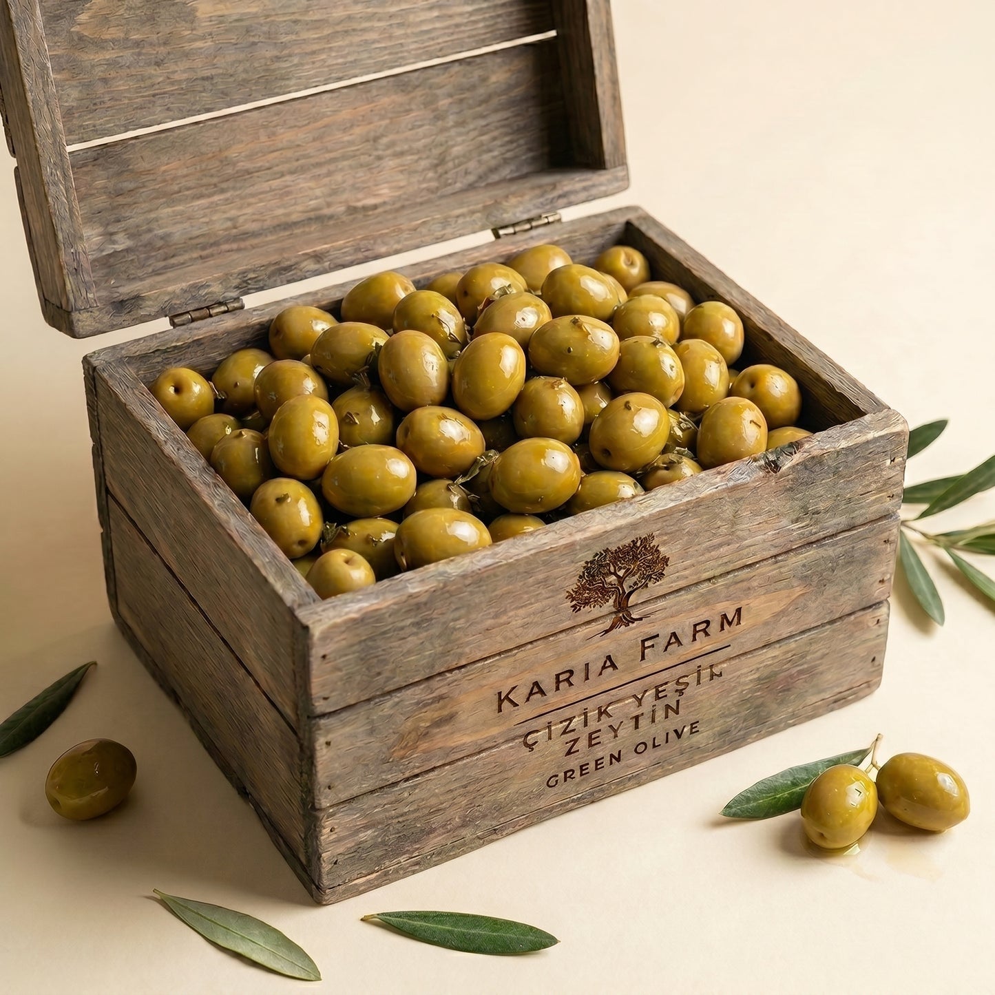 Zeytin Çeşitleri